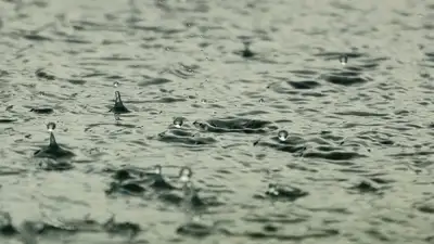 В Алматы прогнозируют сильный дождь, фото - Новости Zakon.kz от 22.11.2022 16:13