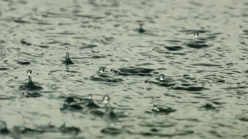 В Алматы прогнозируют сильный дождь