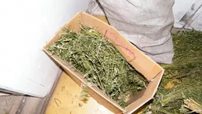 Zakon.kz, фото - Новости Zakon.kz от 01.04.2016 21:17