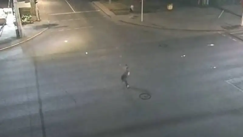 Пьяный мужчина танцевал на перекрестке в Нур-Султане