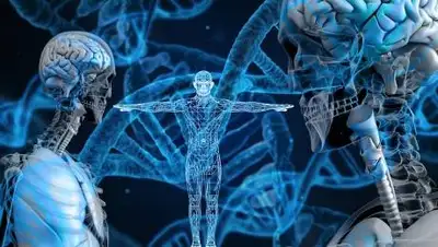 pixabay, фото - Новости Zakon.kz от 29.04.2021 06:47