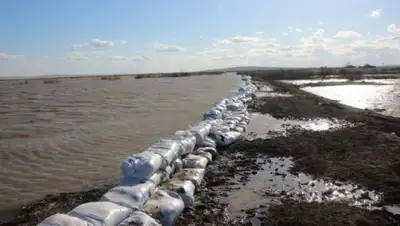 Zakon.kz, фото - Новости Zakon.kz от 17.04.2017 18:48