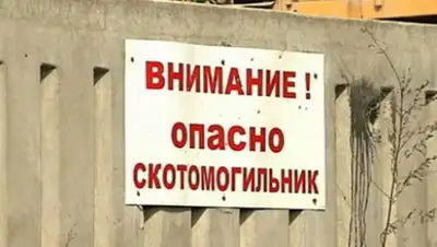 Zakon.kz, фото - Новости Zakon.kz от 13.11.2014 16:25