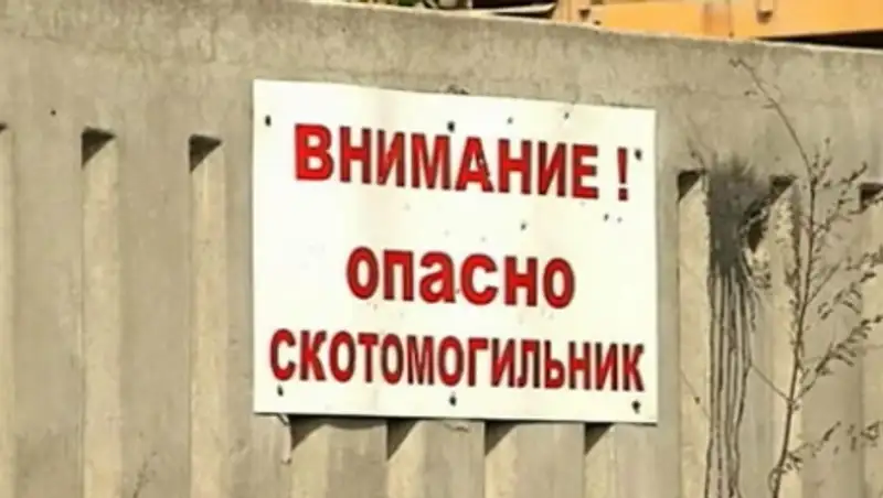 Скотомогильники Костанайской области - потенциальные источники заражения сибирской язвой