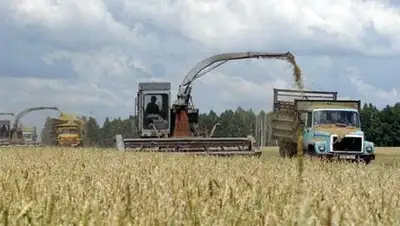 Zakon.kz, фото - Новости Zakon.kz от 29.10.2014 21:59