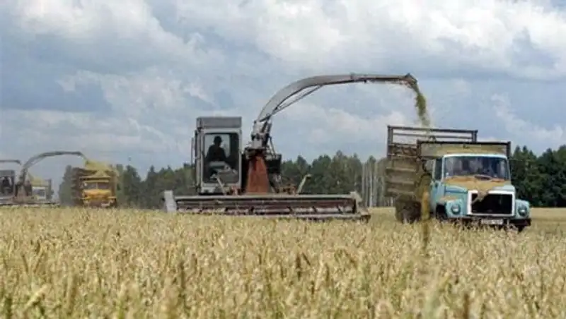 Погода – единственная причина низких темпов уборки в СКО