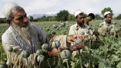 Zakon.kz, фото - Новости Zakon.kz от 15.10.2015 19:05