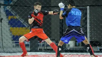 MMA Federation of Kazakhstan, фото - Новости Zakon.kz от 15.02.2019 23:54