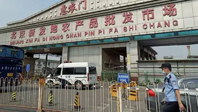 cdn24, фото - Новости Zakon.kz от 16.06.2020 01:56