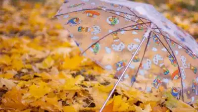 inbusiness.kz, фото - Новости Zakon.kz от 09.10.2020 16:47