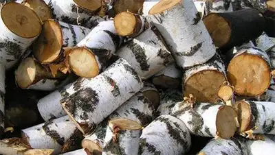 Zakon.kz, фото - Новости Zakon.kz от 29.03.2014 00:48