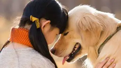 @ajanimo.com, фото - Новости Zakon.kz от 18.02.2021 18:48