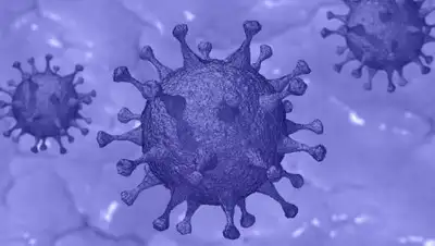 pixabay.com, фото - Новости Zakon.kz от 06.05.2020 16:23