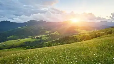 природа, фото - Новости Zakon.kz от 18.06.2023 10:03