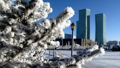 Zakon.kz, фото - Новости Zakon.kz от 10.12.2014 16:49