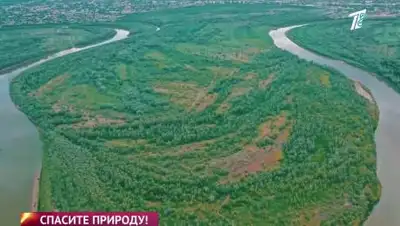 кадр из видео, фото - Новости Zakon.kz от 11.06.2021 23:30