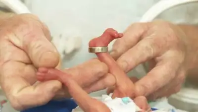 japantimes.co.jp, фото - Новости Zakon.kz от 19.04.2019 11:09