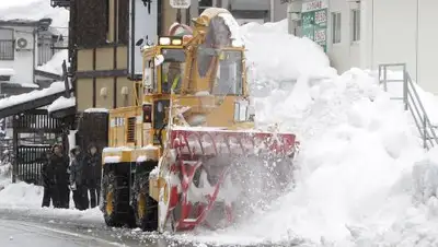 Zakon.kz, фото - Новости Zakon.kz от 14.01.2017 14:30
