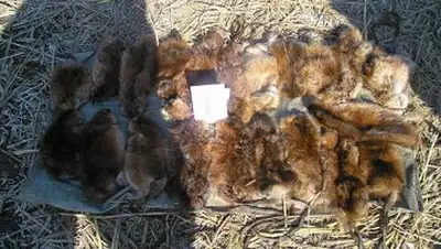 Zakon.kz, фото - Новости Zakon.kz от 30.09.2014 00:20