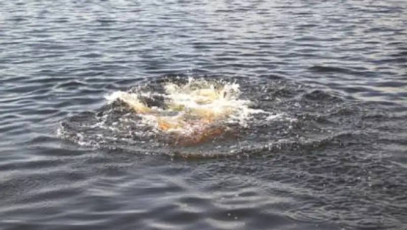 Личность утонувшего мужчины пытаются установить в Уральске