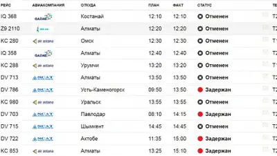 nn-airport.kz, фото - Новости Zakon.kz от 23.01.2020 13:04