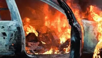 Zakon.kz, фото - Новости Zakon.kz от 20.02.2017 19:52