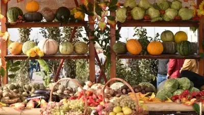 Zakon.kz, фото - Новости Zakon.kz от 27.10.2017 09:19