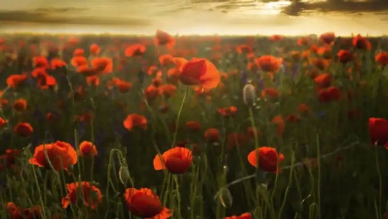 Сильная жара ожидается в некоторых областях Казахстана в среду