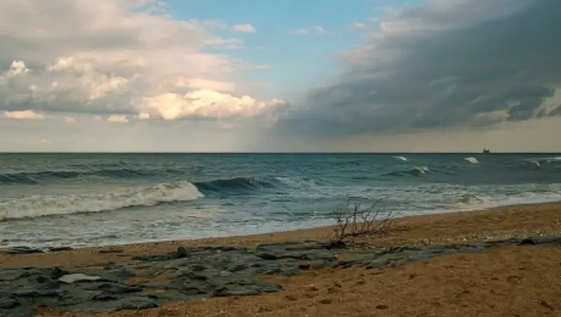 Каспий те&#1187;ізіні&#1187; жа&#1171;асы балдырдан тазартылуда