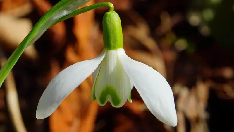 Синоптики рассказали, какой будет погода в Казахстане 2 марта