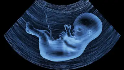 Soulpost, фото - Новости Zakon.kz от 17.04.2019 17:34