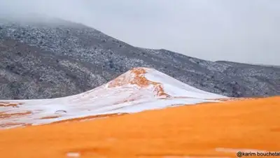 Zakon.kz, фото - Новости Zakon.kz от 22.12.2016 01:22