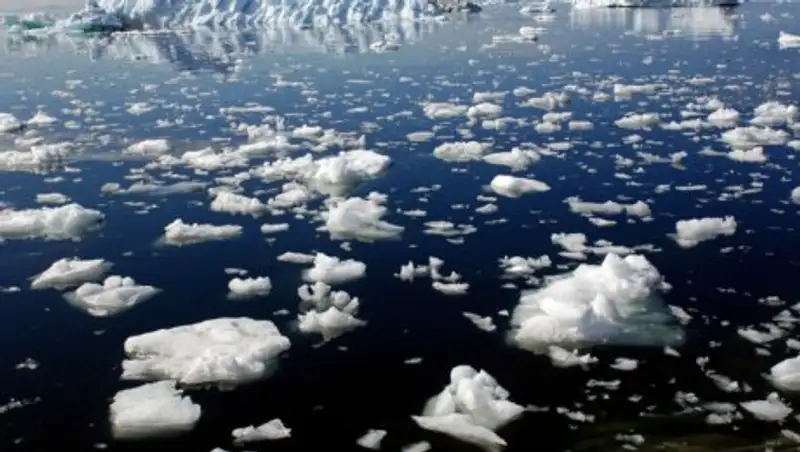 Почти каждый человек почувствовал на себе изменение климата в 2018 году