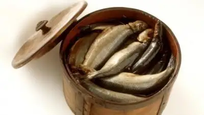 Zakon.kz, фото - Новости Zakon.kz от 19.06.2015 02:09