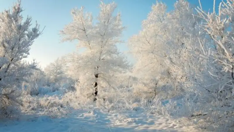 Потепление и гололед ожидают казахстанцев