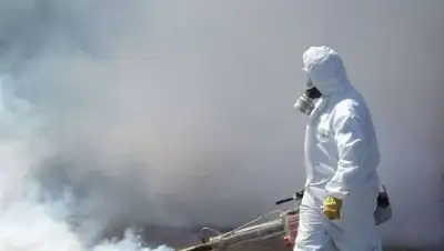 zakon.kz., фото - Новости Zakon.kz от 27.01.2021 06:04