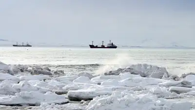 ТАСС, фото - Новости Zakon.kz от 02.05.2020 07:37