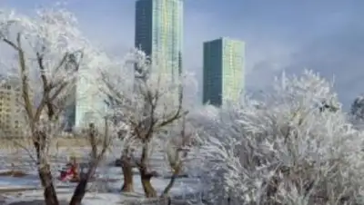 Zakon.kz, фото - Новости Zakon.kz от 16.01.2015 18:20