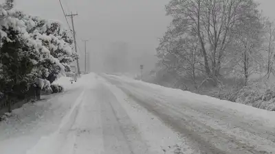 зима, фото - Новости Zakon.kz от 02.12.2022 21:06