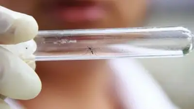 Zakon.kz, фото - Новости Zakon.kz от 13.02.2016 13:25