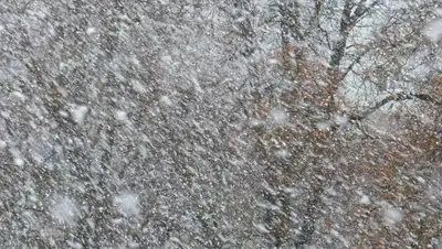 Pixabay, фото - Новости Zakon.kz от 10.02.2020 01:07