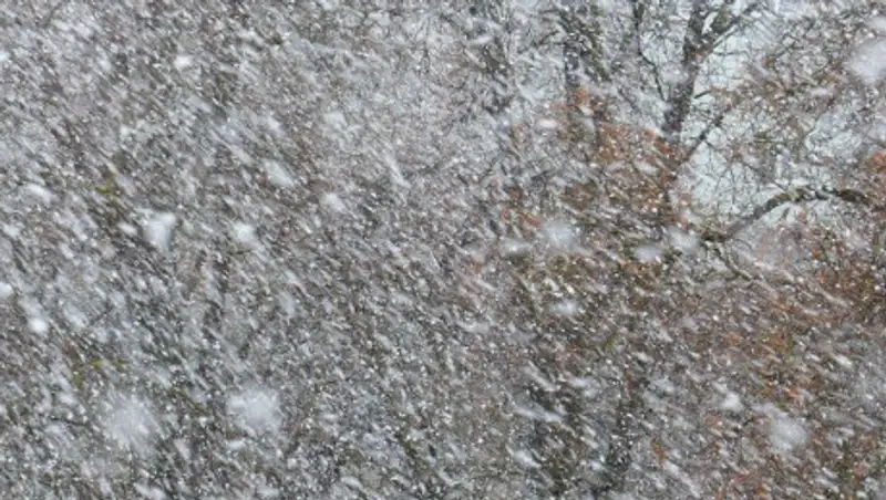 Блэкаут в четырех областях произошел из-за бурана