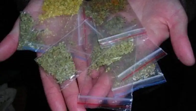 Депутаты РК связывают рост суицида у молодежи с употреблением курительных смесей