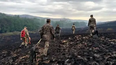 Карагандинская область пожар степь, фото - Новости Zakon.kz от 30.06.2022 10:03