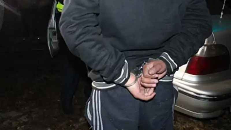Группу воров-рецидивистов обезвредила полиция Алматинской области