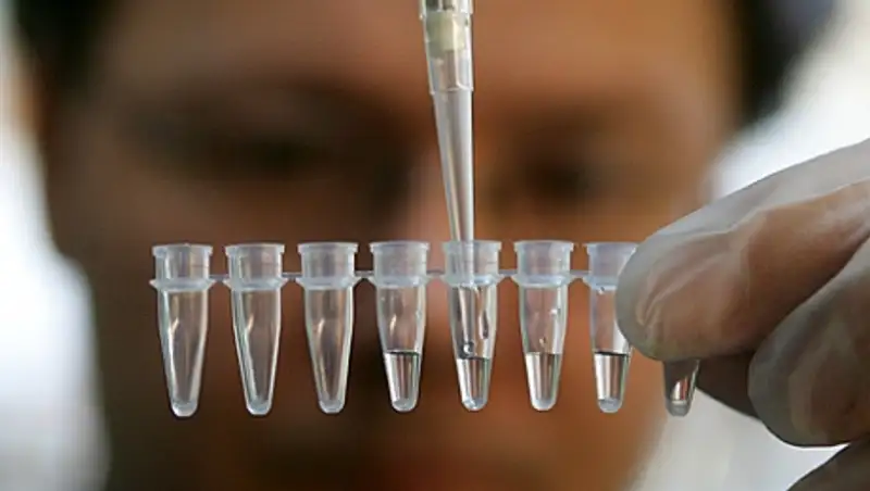 Убитого охотника в ЮКО нашли по экспертизе ДНК