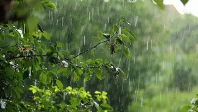 yandex.com, фото - Новости Zakon.kz от 29.07.2019 15:11