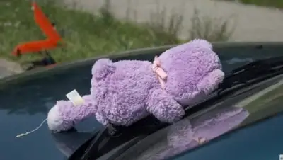 Zakon.kz, фото - Новости Zakon.kz от 19.08.2015 00:16