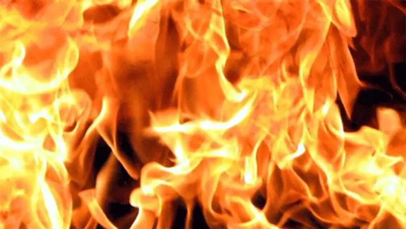 500 га составила площадь пожара в Алакольском государственном природном заповеднике, фото - Новости Zakon.kz от 20.10.2013 15:16