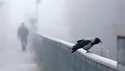 inform.kz, фото - Новости Zakon.kz от 06.04.2021 17:29